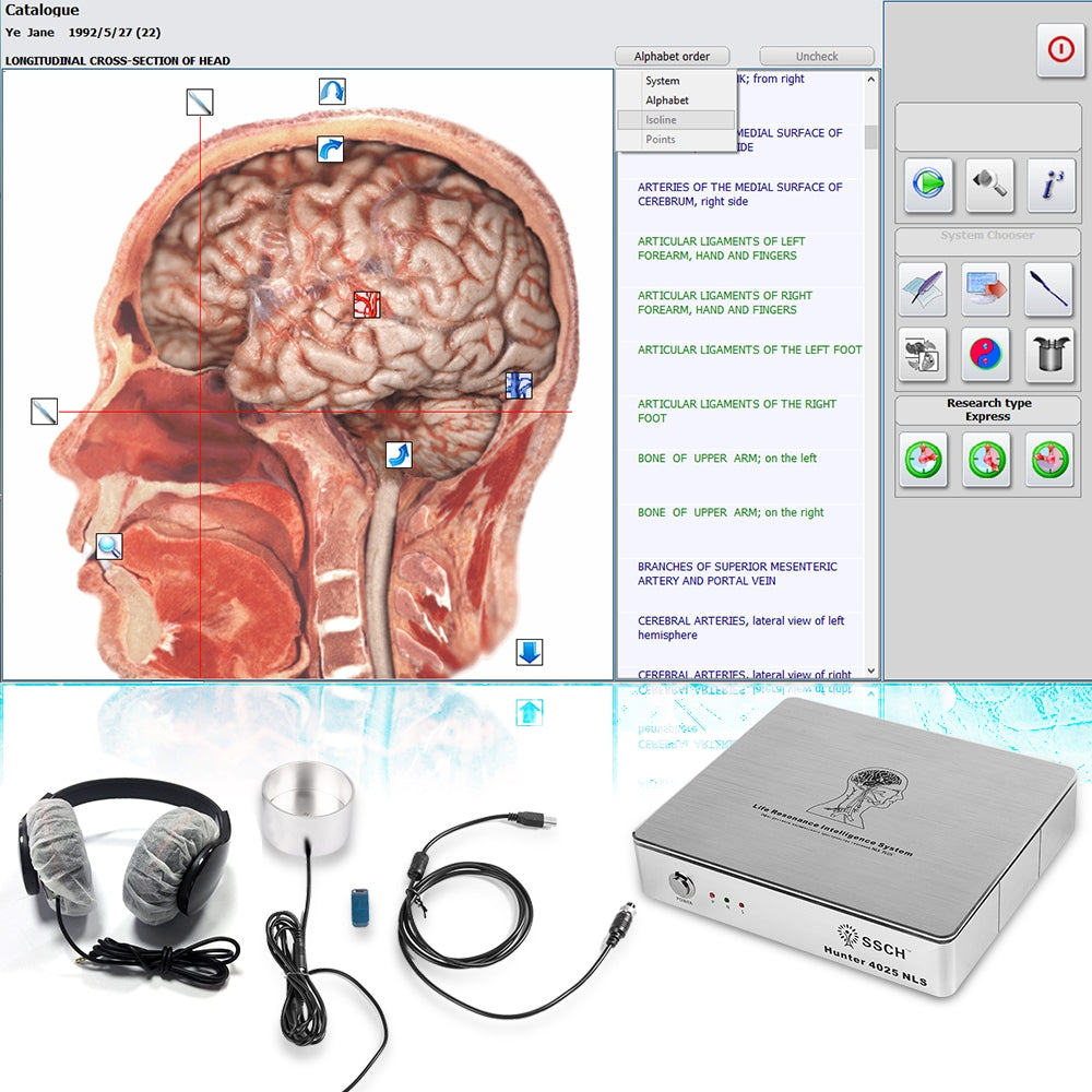 Metatrons 4025 Hunter NLS Biofeedback - 8D 18D 25D Metapathia GR Bioresonance - Health Analyzer Machine Full Body Scanner - Device 2023  Hunter NLS Biofeedback price in Pakistan