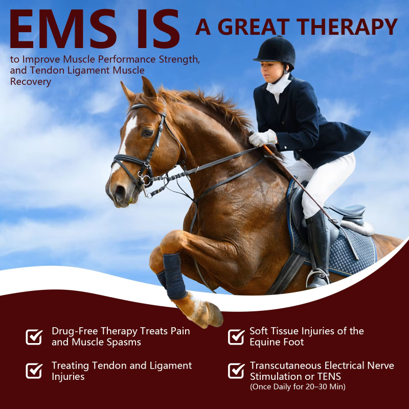 Cold Laser Therapy Device for Horses - 680nm/808nm Red Light &amp; TENS Therapy for Arthritis and Pain Relief in Pakistan