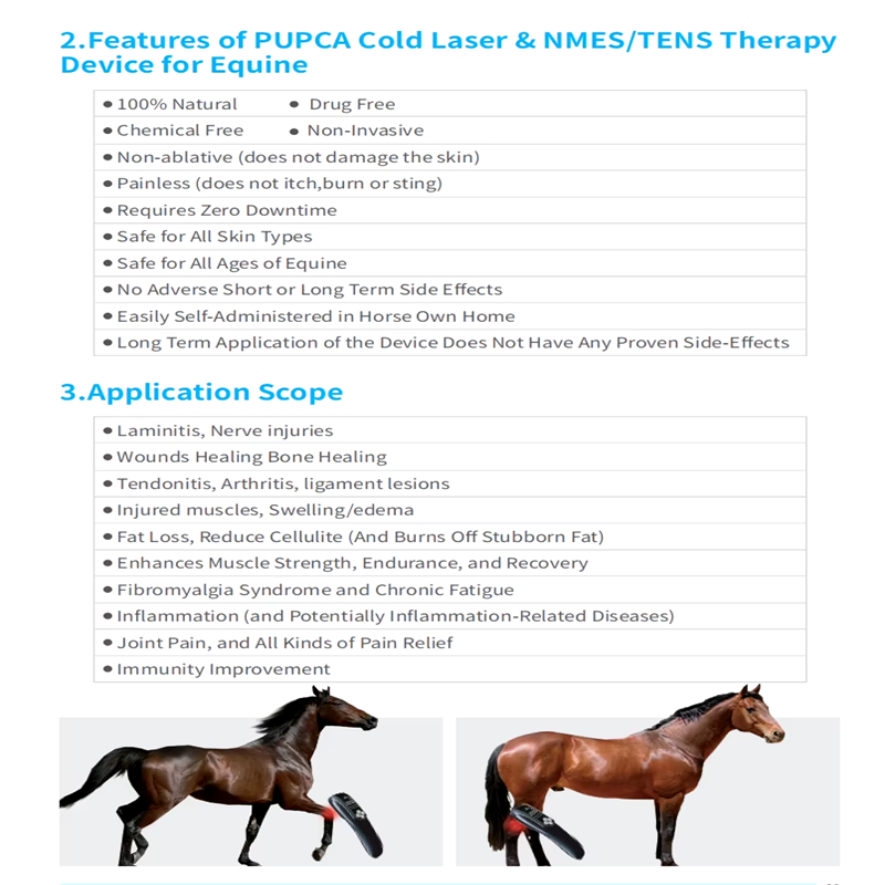 Cold Laser Therapy Device for Horses - 680nm/808nm Red Light &amp; TENS Therapy for Arthritis and Pain Relief in Pakistan