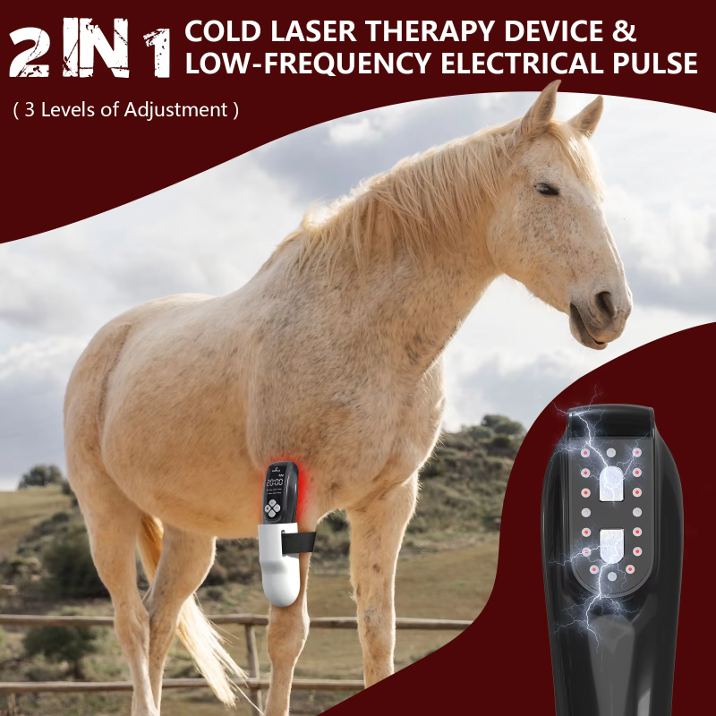 Cold Laser Therapy Device for Horses - 680nm/808nm Red Light &amp; TENS Therapy for Arthritis and Pain Relief in Pakistan